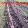 Hauptsache gedüngt?