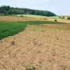 Erosionsschutz: produktionsintegrierte Kompensationsmaßnahmen (PIK) in der Landwirtschaft 2023