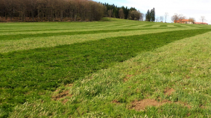 Wissen & Praxis-Tipp: Futterhygiene nach streifenförmiger Ausbringung von Wirtschaftsdünger im Grünland