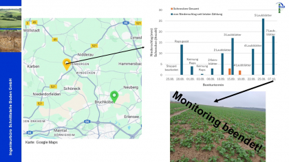 Ergebnisse Schneckenmonitoring