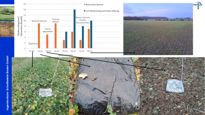 Ergebnisse Schneckenmonitoring unter Winterweizen