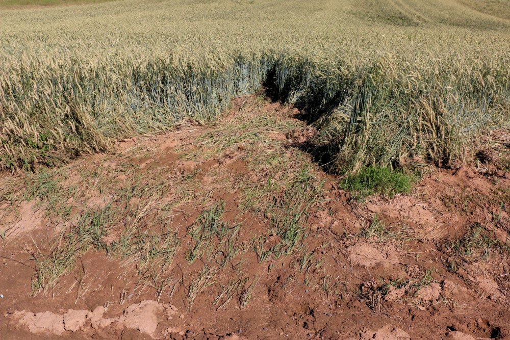 Erosion im Sommer 2023 im Maßnahmenraum Image